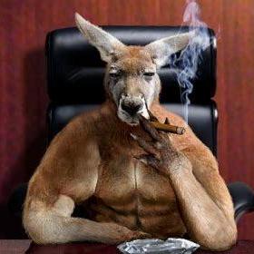 Tal Rofe's user avatar