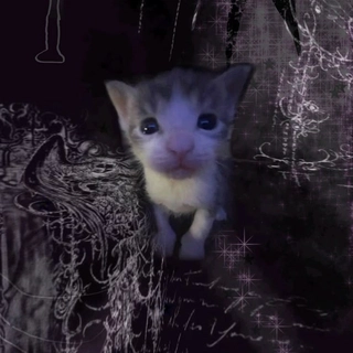 phlx0 profile picture