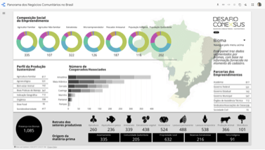 Data Studio