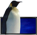 58493_Nodding Penguin