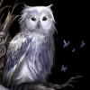 owl icon