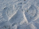 chanda_m