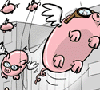 pigs