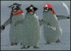 penguins