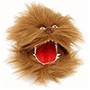 Fizzgig