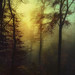 untitled by Dyrk.Wyst