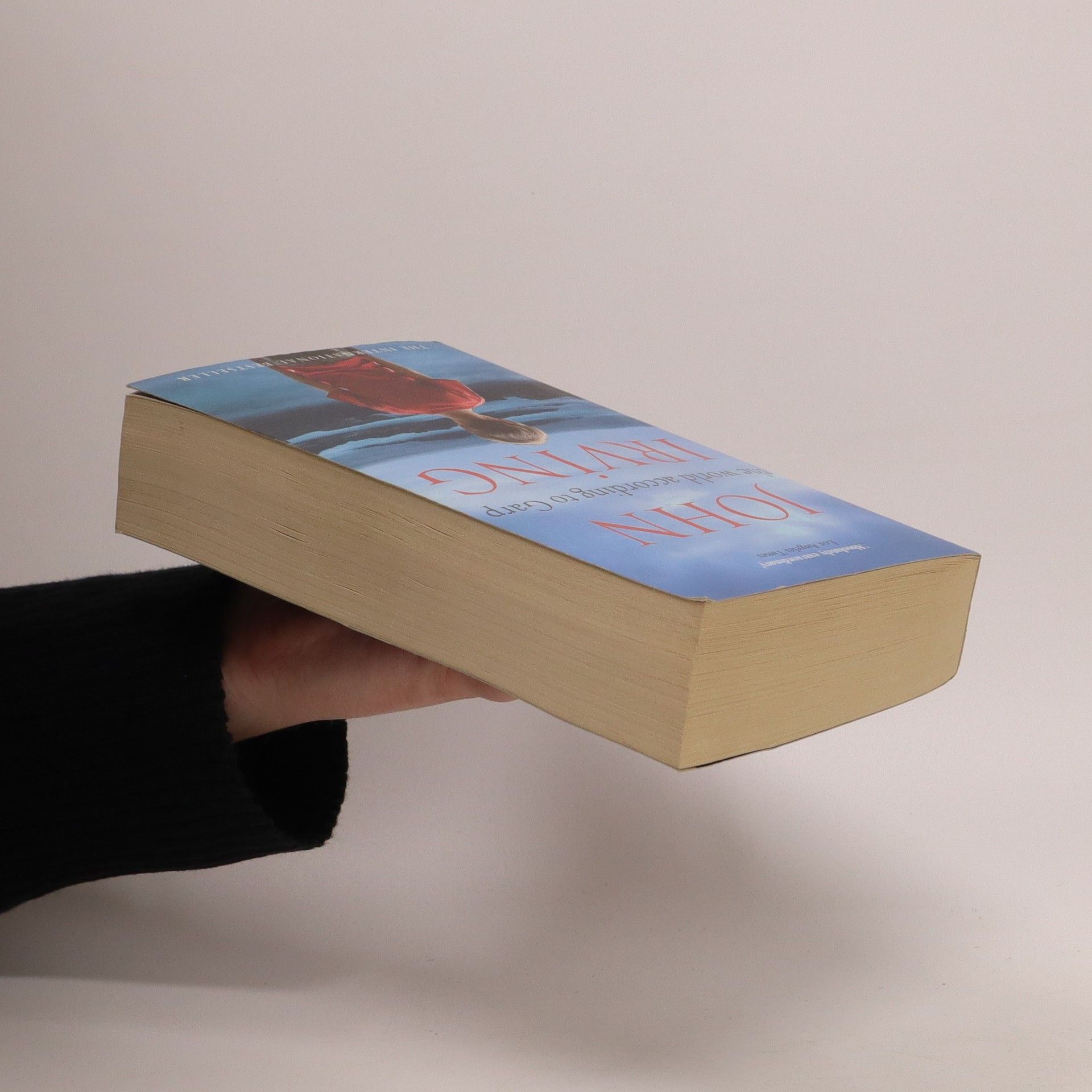 John Irving The world according to Garp