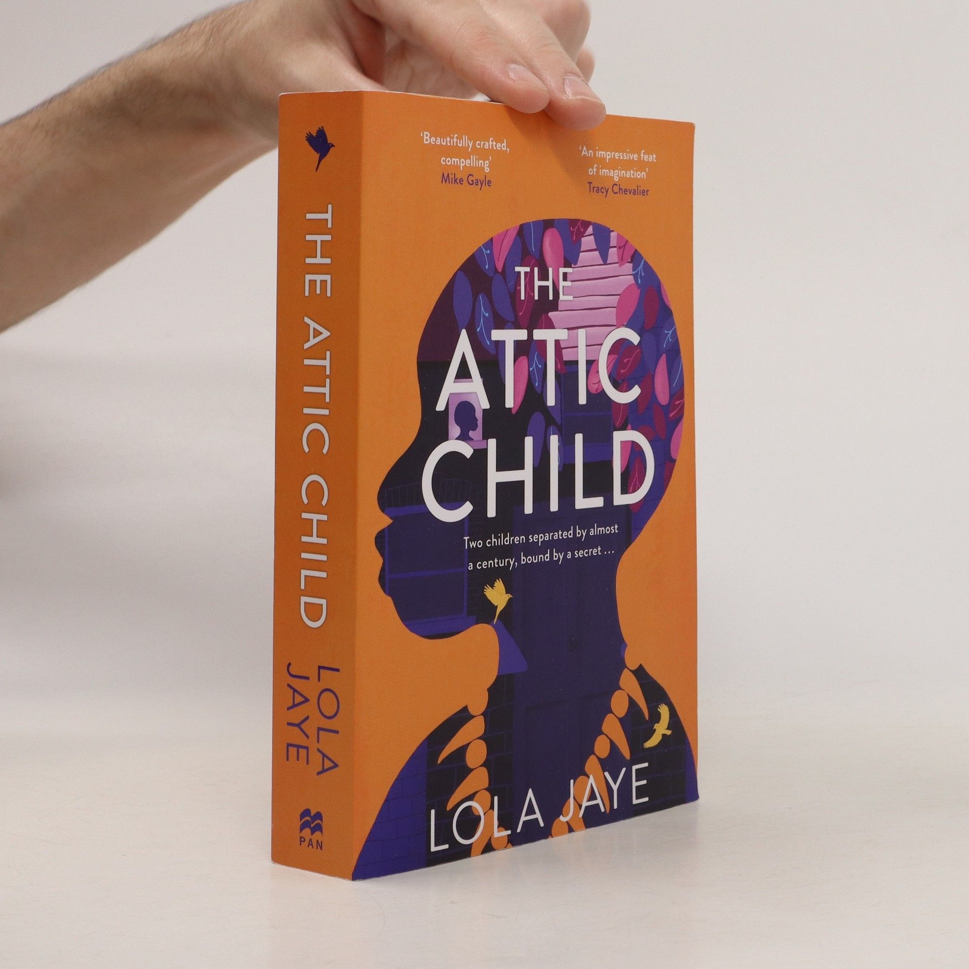 The Attic Child