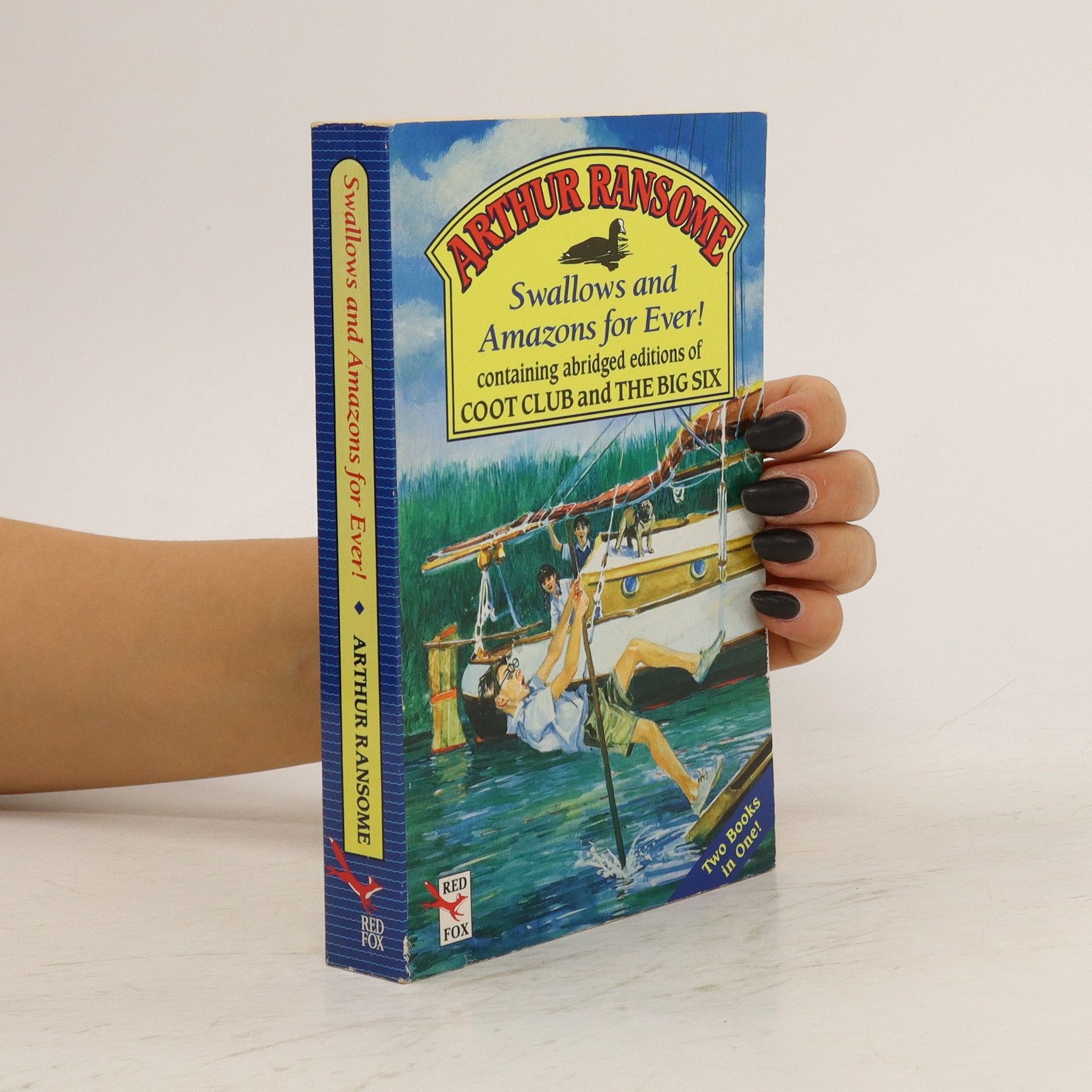 Swallows and Amazons for Ever!