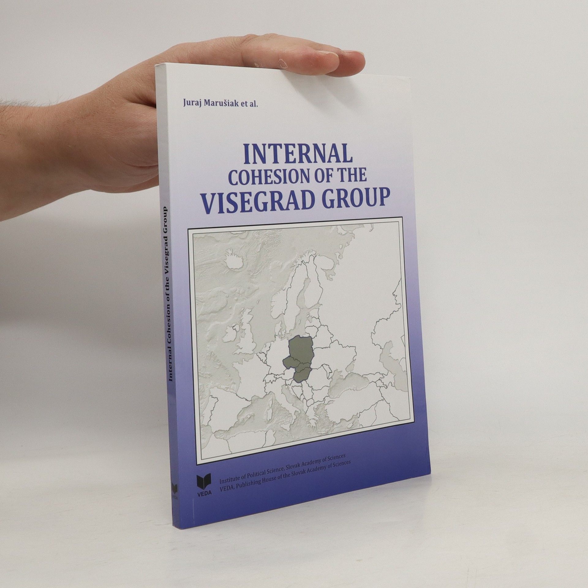 Internal cohesion of the Visegrad group