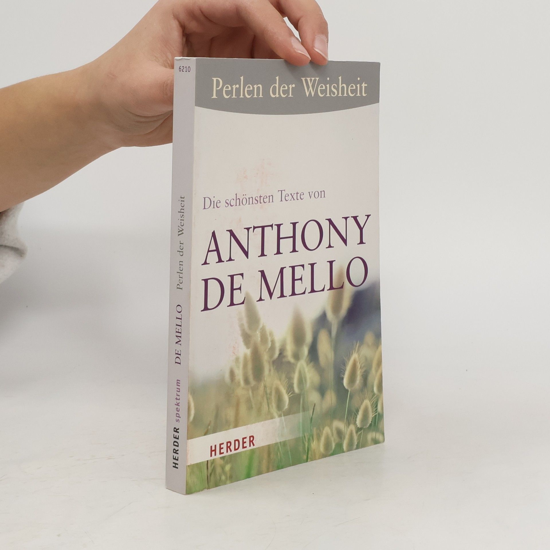 Die schönsten Texte