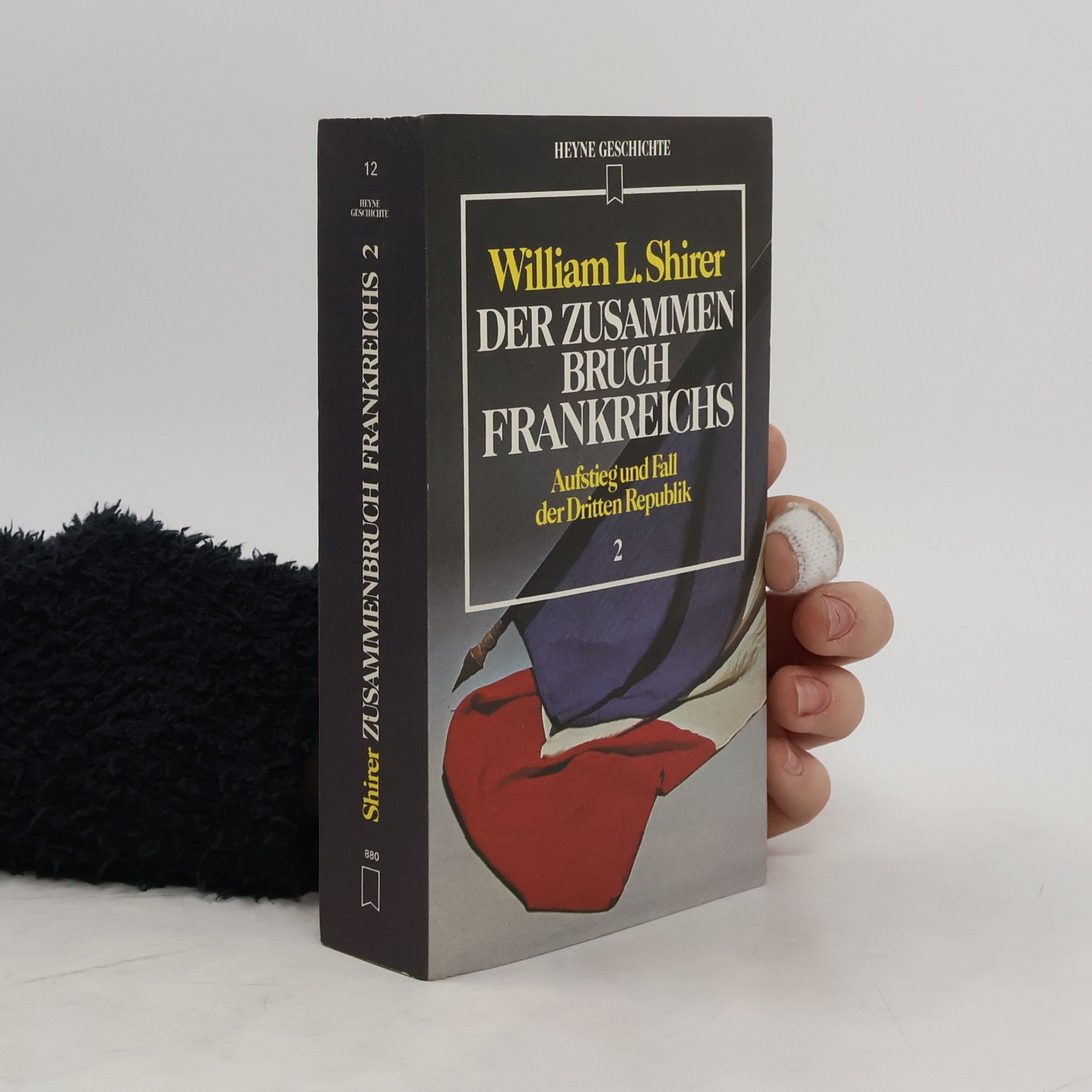 Der Zusammenbruch Frankreichs. Aufstieg und Fall der Dritten Republik