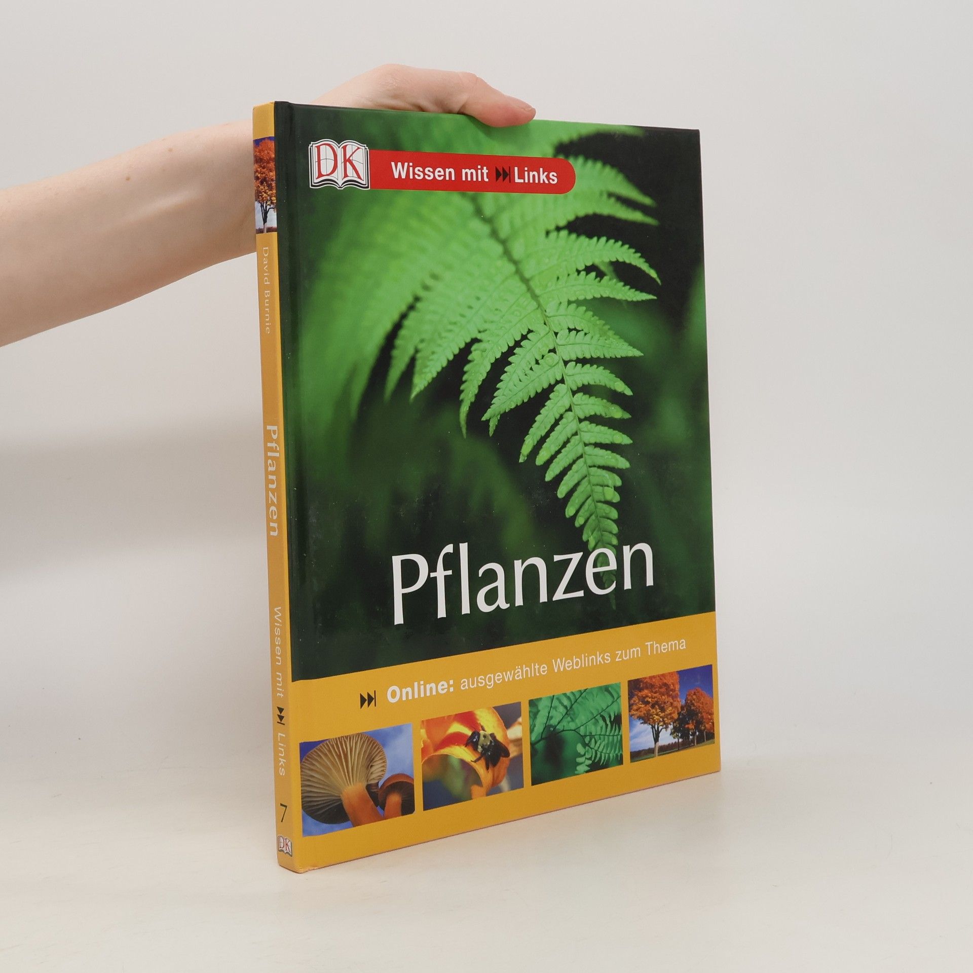 Pflanzen