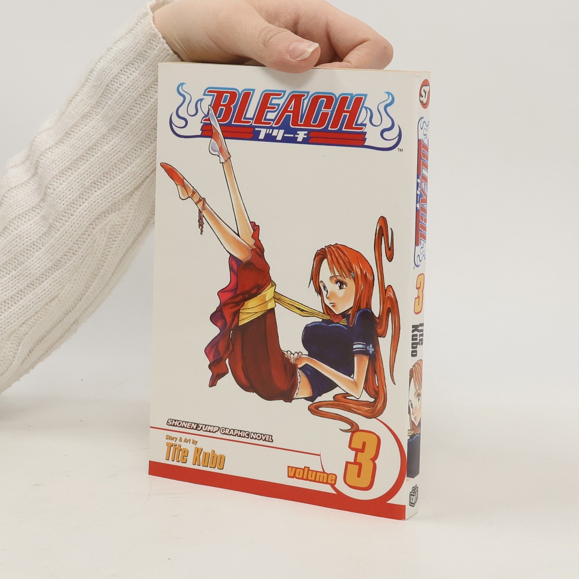 Bleach. Volume 3