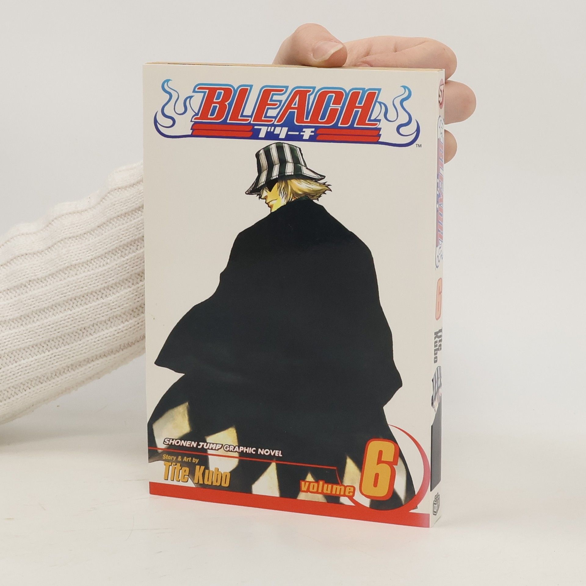 Bleach Vol. 6