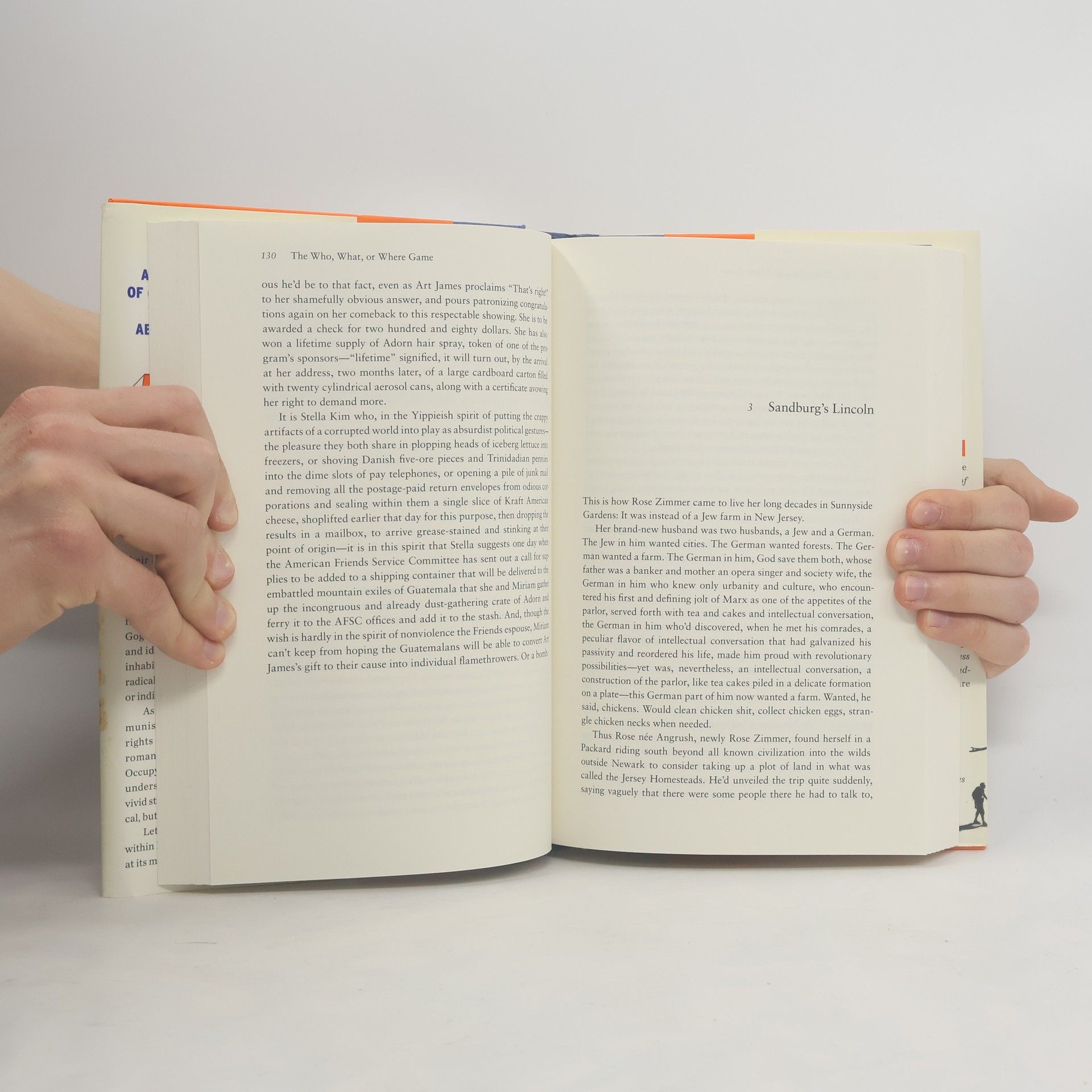 Jonathan Lethem Dissident Gardens