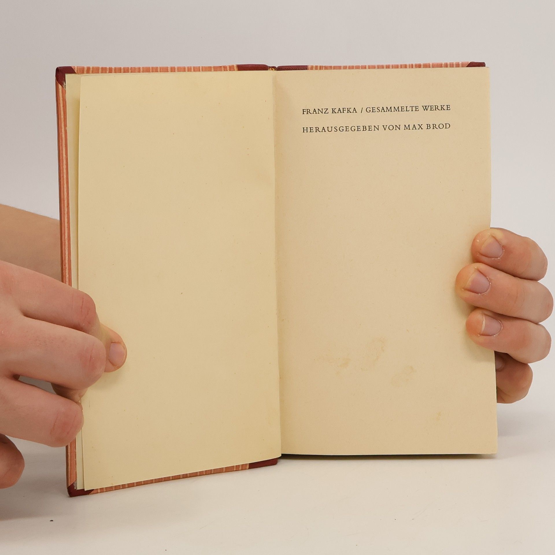 Franz Kafka Gesammelte Werke