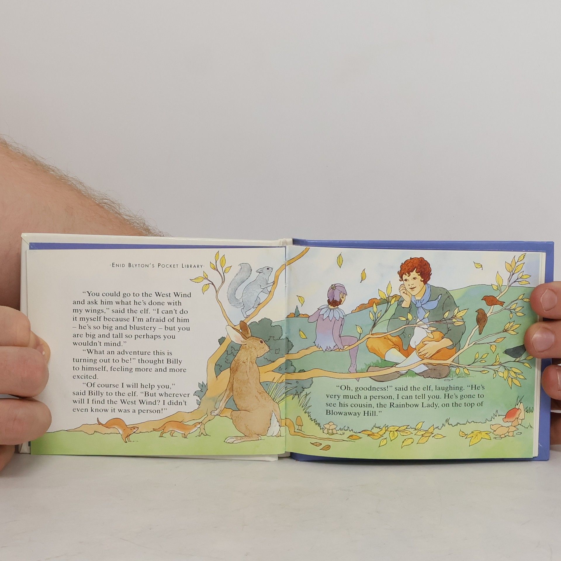 Enid Blyton Billy and the West Wind