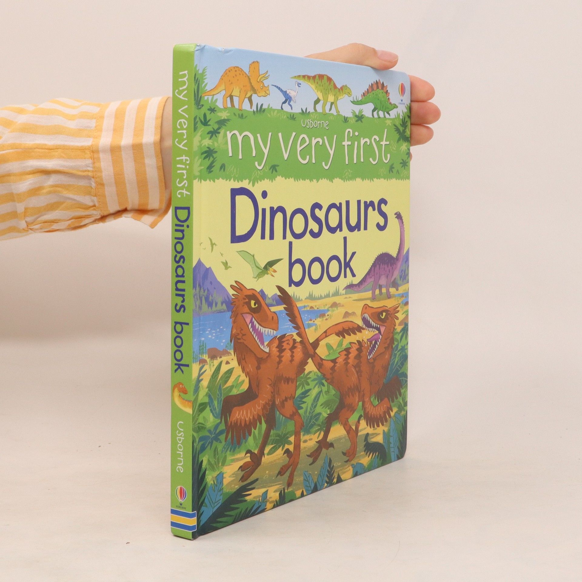 My Very First Dinosaurs Book