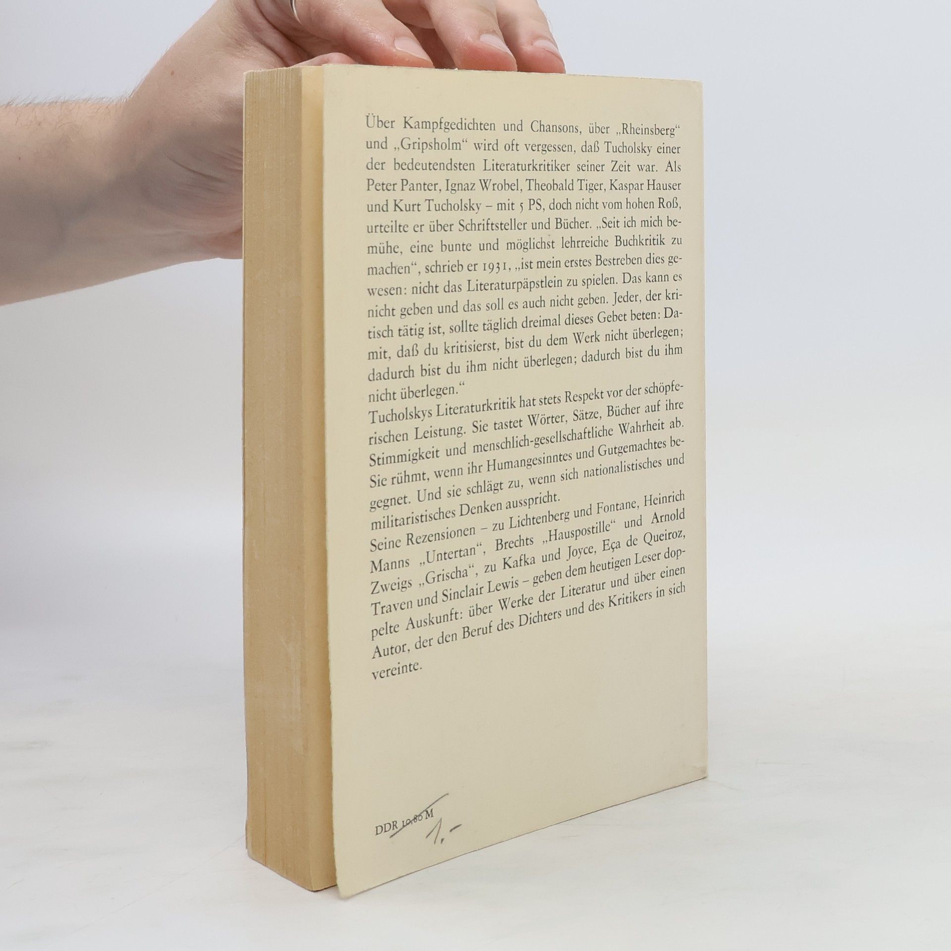 Kurt Tucholsky Mit 5 PS durch die Literatur. Essays und Rezensionen