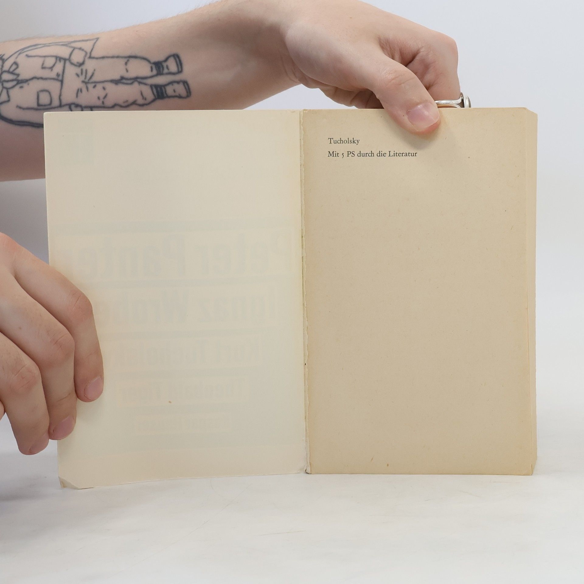 Kurt Tucholsky Mit 5 PS durch die Literatur. Essays und Rezensionen