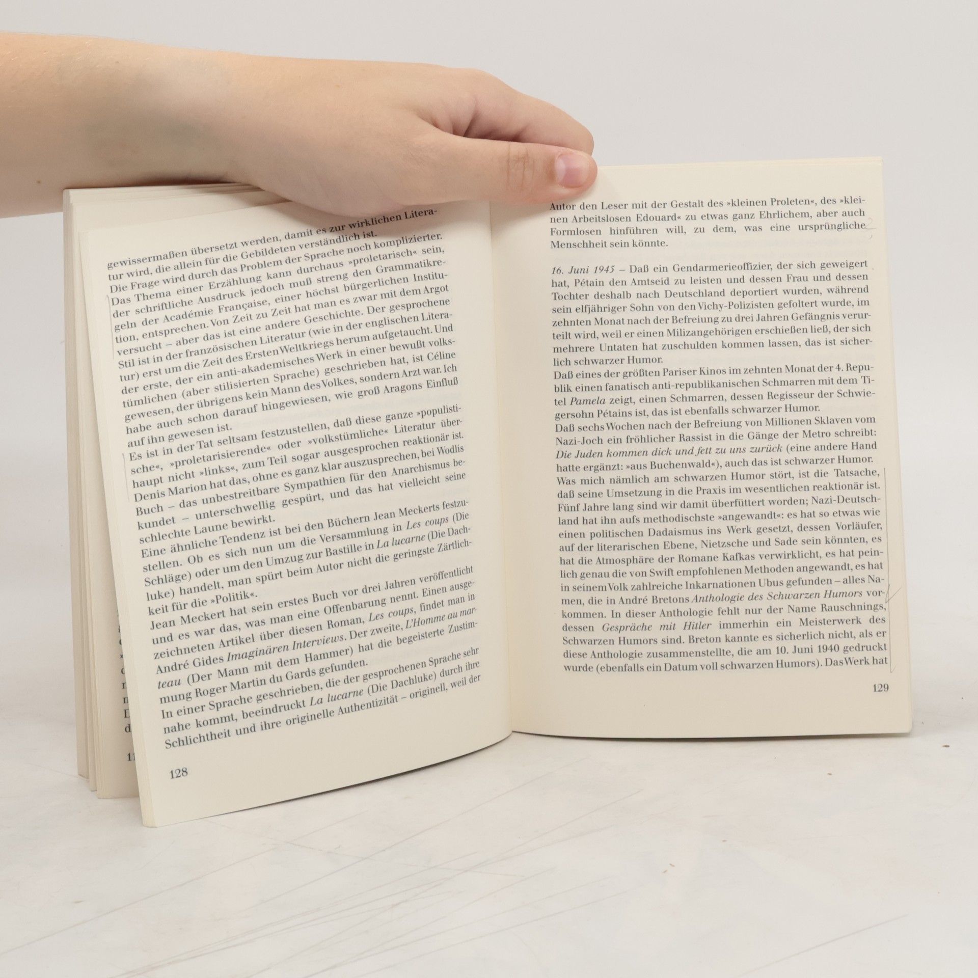 Raymond Queneau Striche, Zeichen und Buchstaben