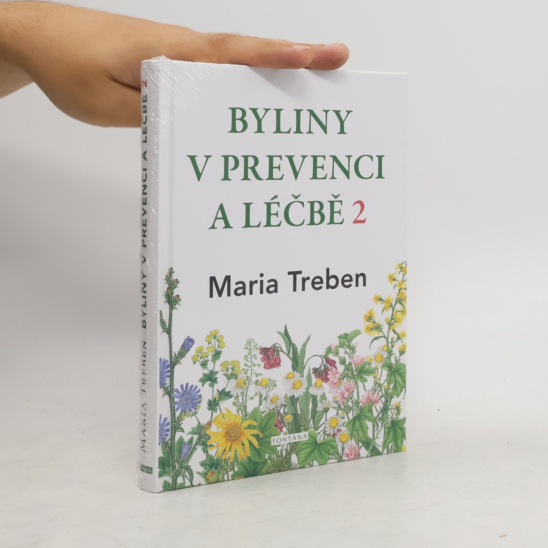 Byliny v prevenci a léčbě. 2, Žaludeční a střevní problémy