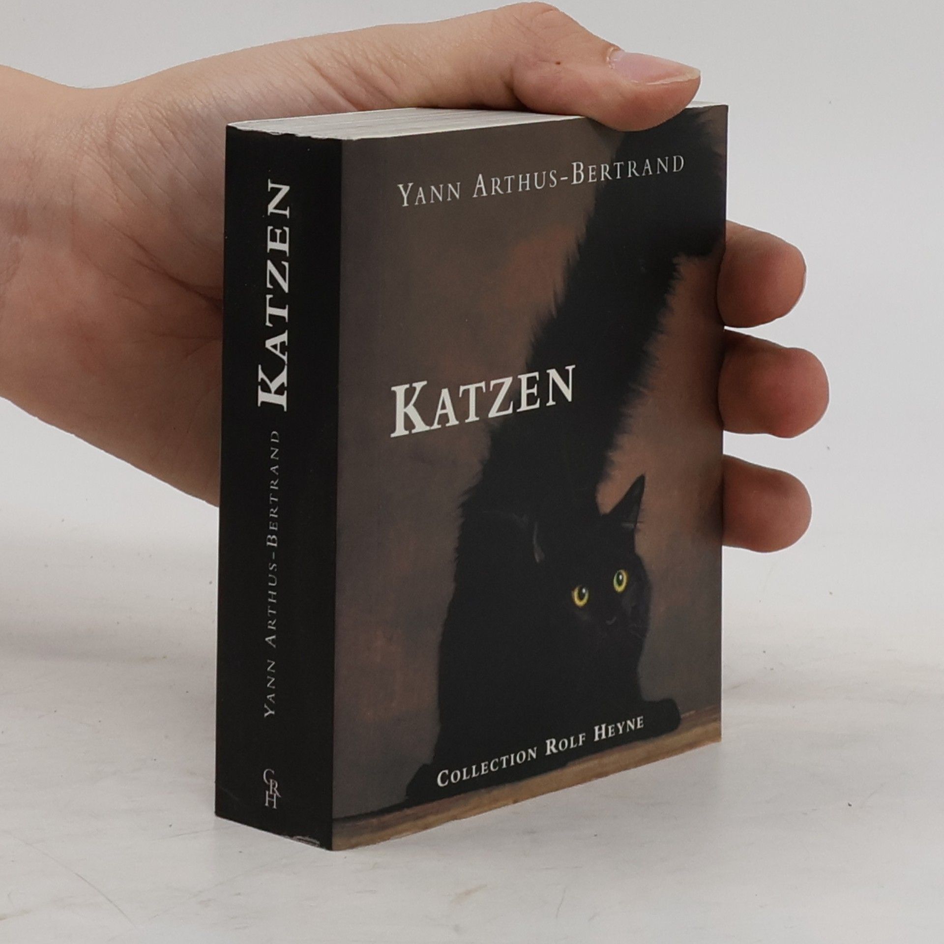 Katzen