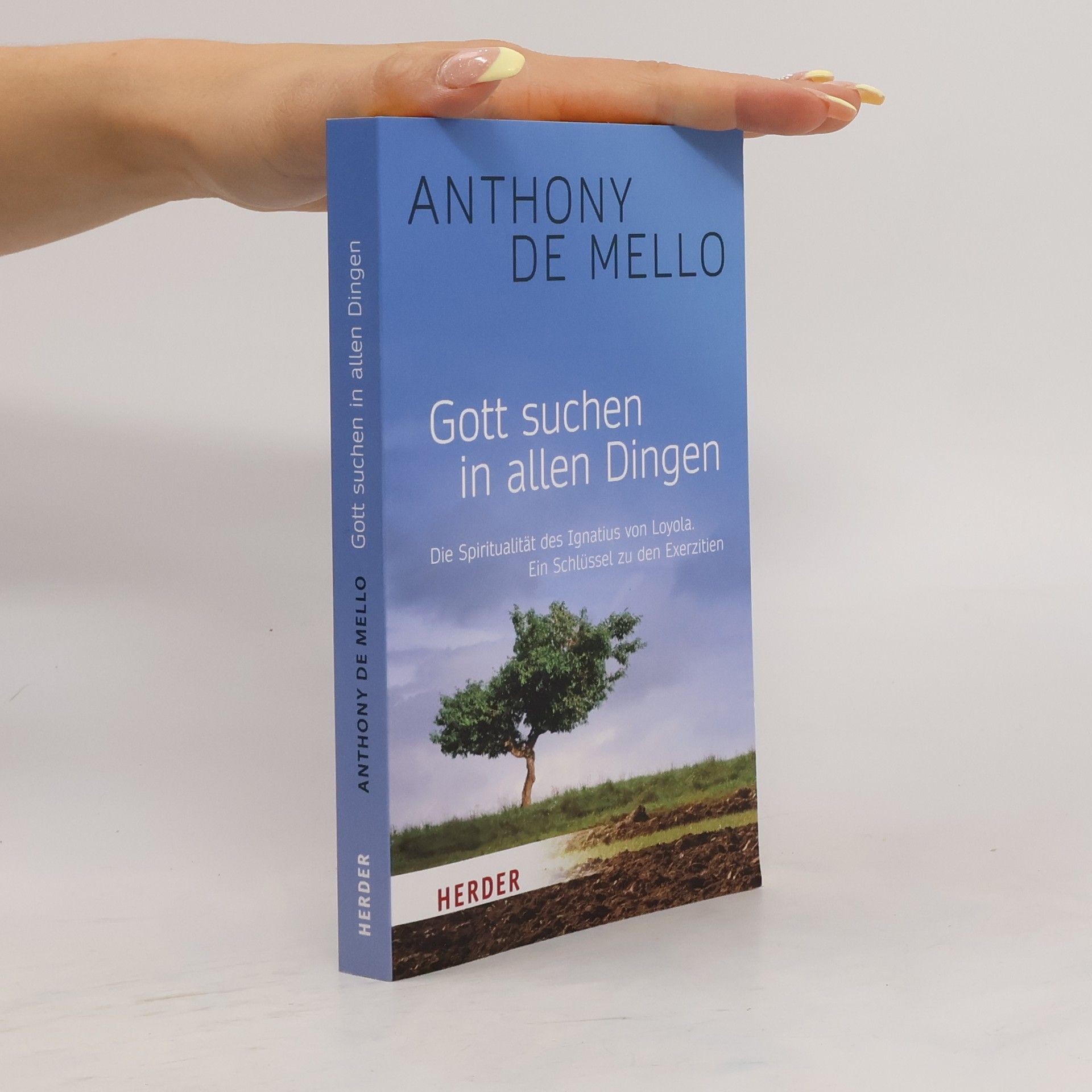 Gott suchen in allen Dingen
