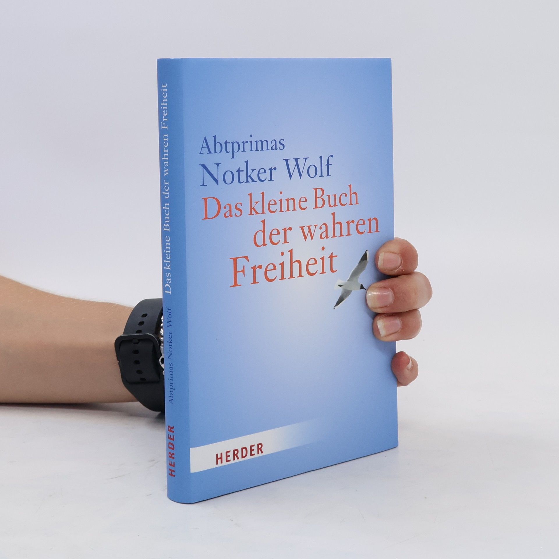Das kleine Buch der wahren Freiheit