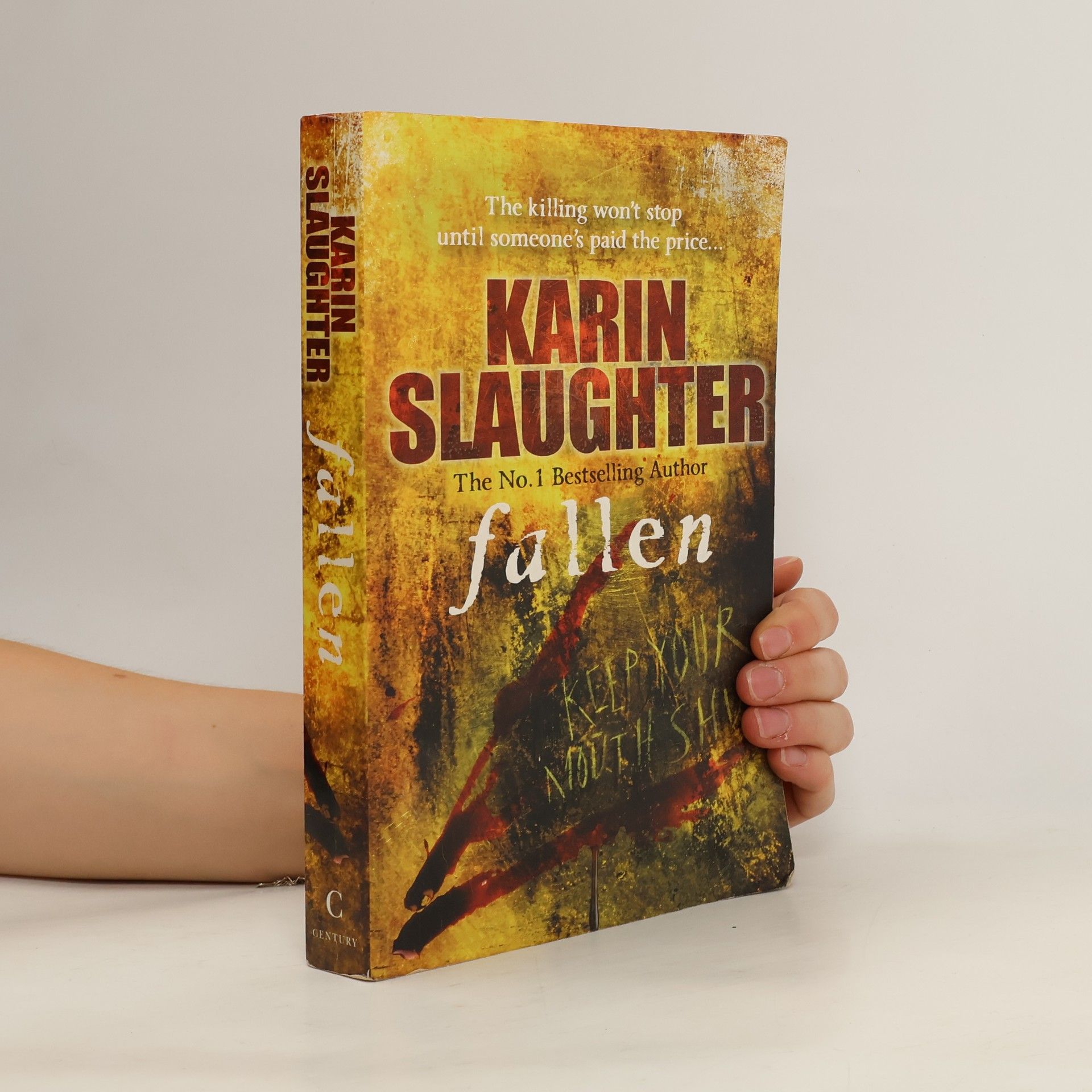 Karin Slaughter Fallen