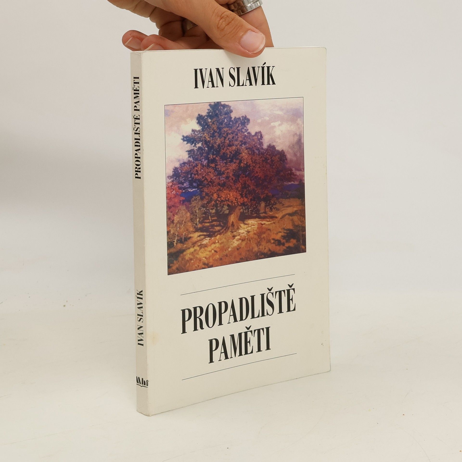 Propadliště paměti