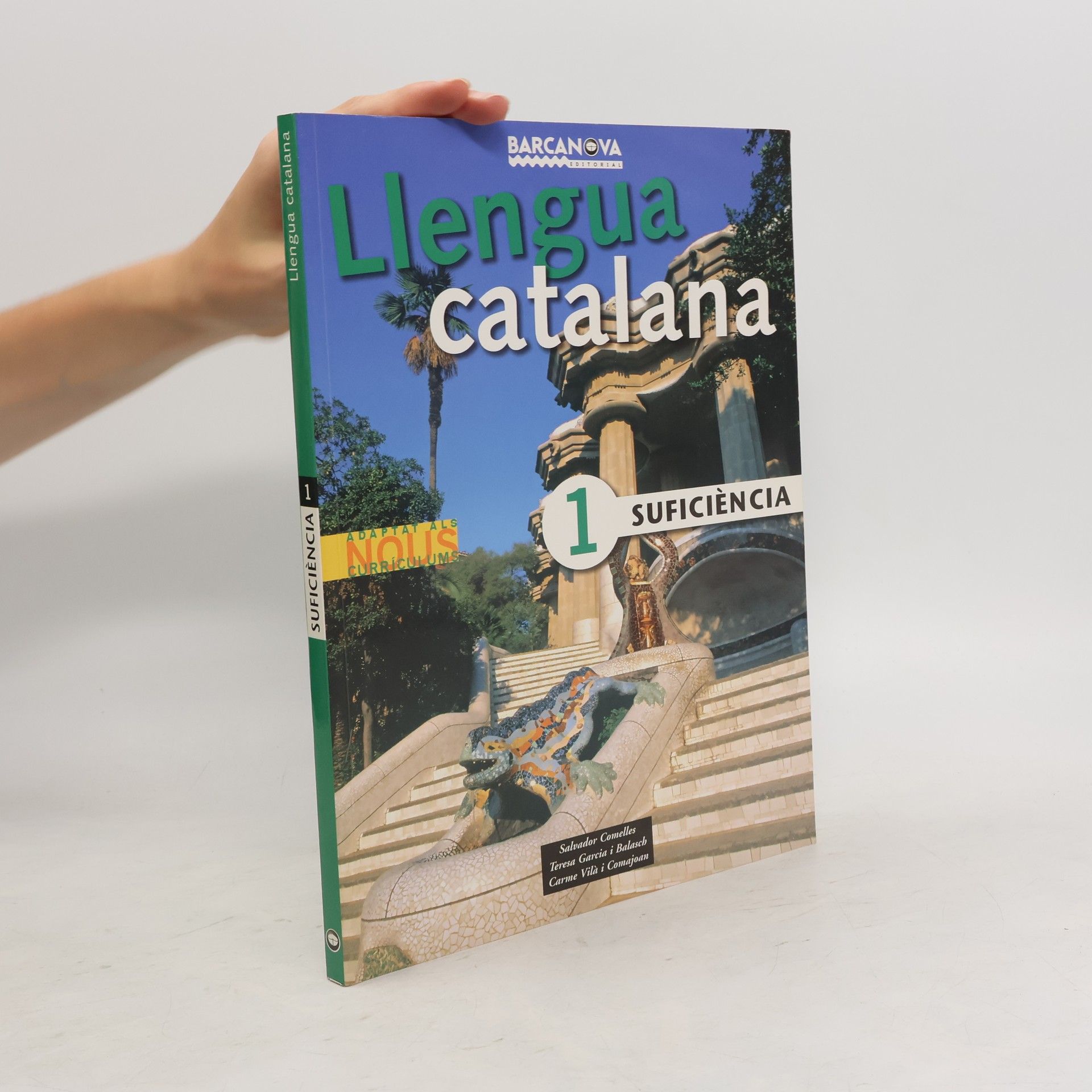 Carme Vilà Comajoan Llengua catalana 1. Suficiència