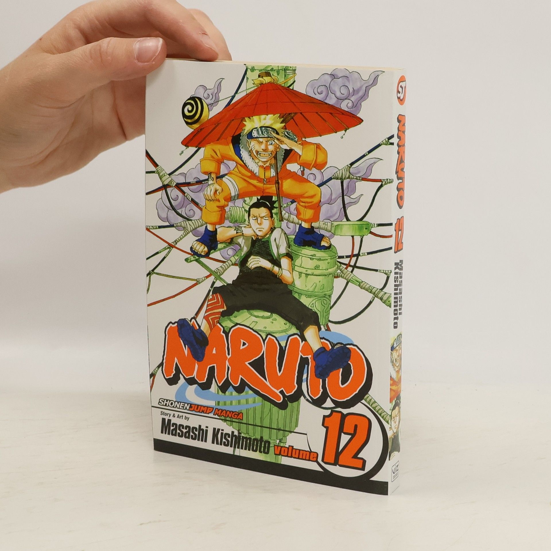 Naruto, Vol. 12