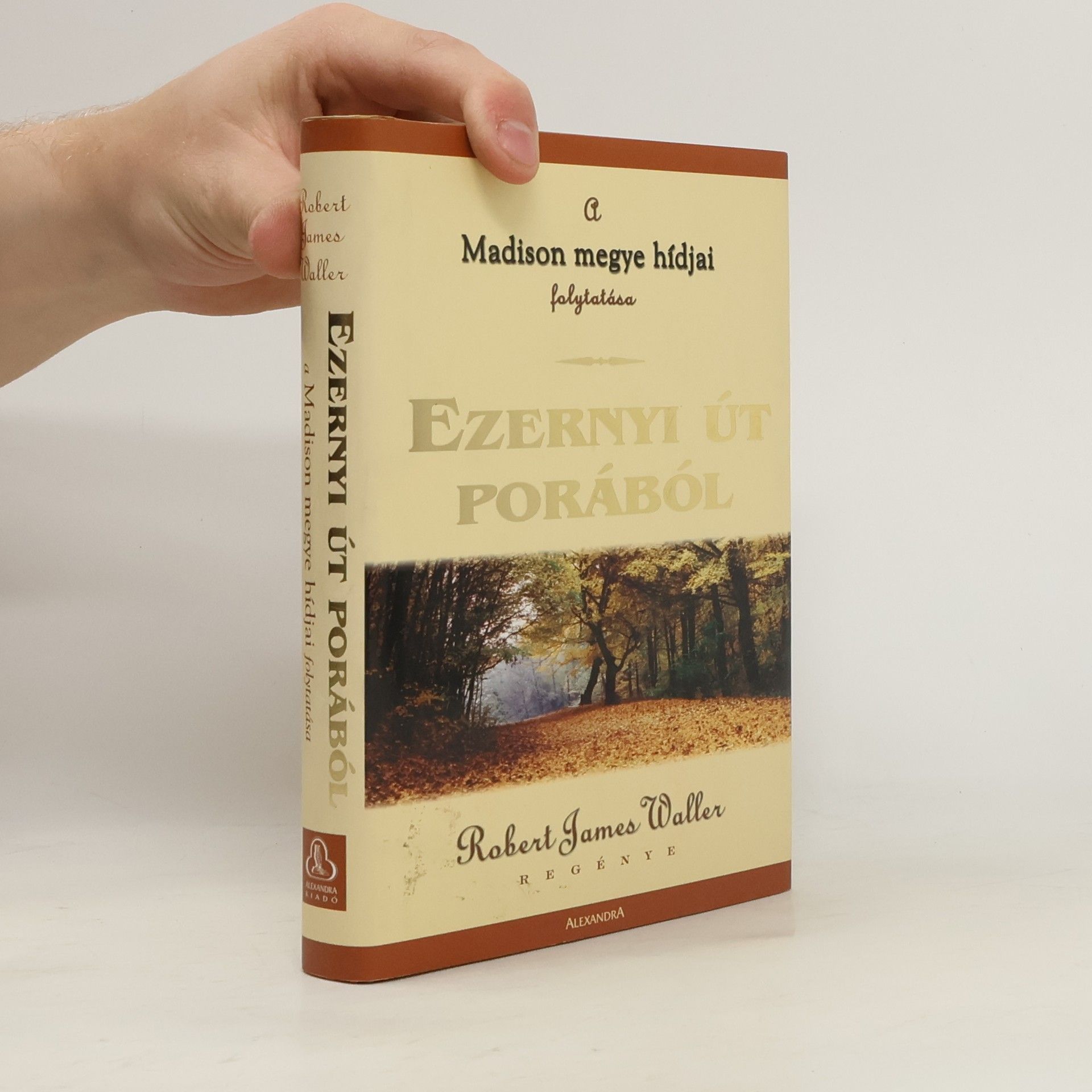 Ezernyi út porából