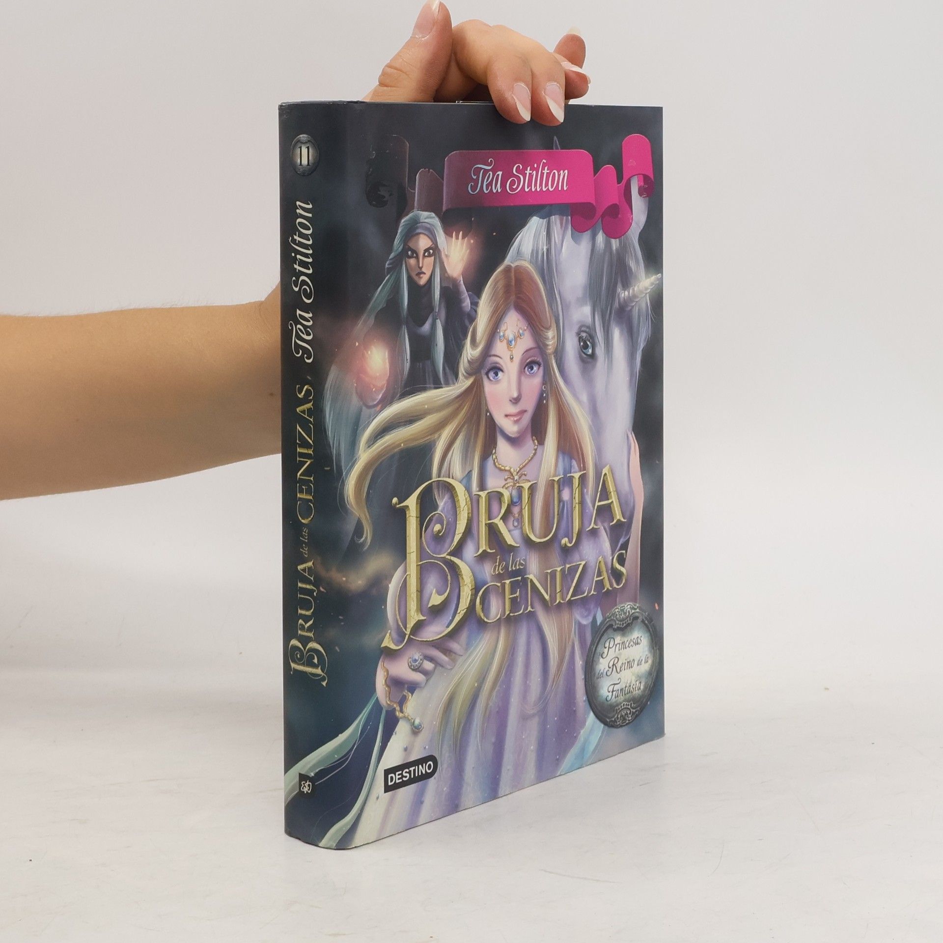 Princesas del Reino de la Fantasía - 11: Bruja de las Cenizas