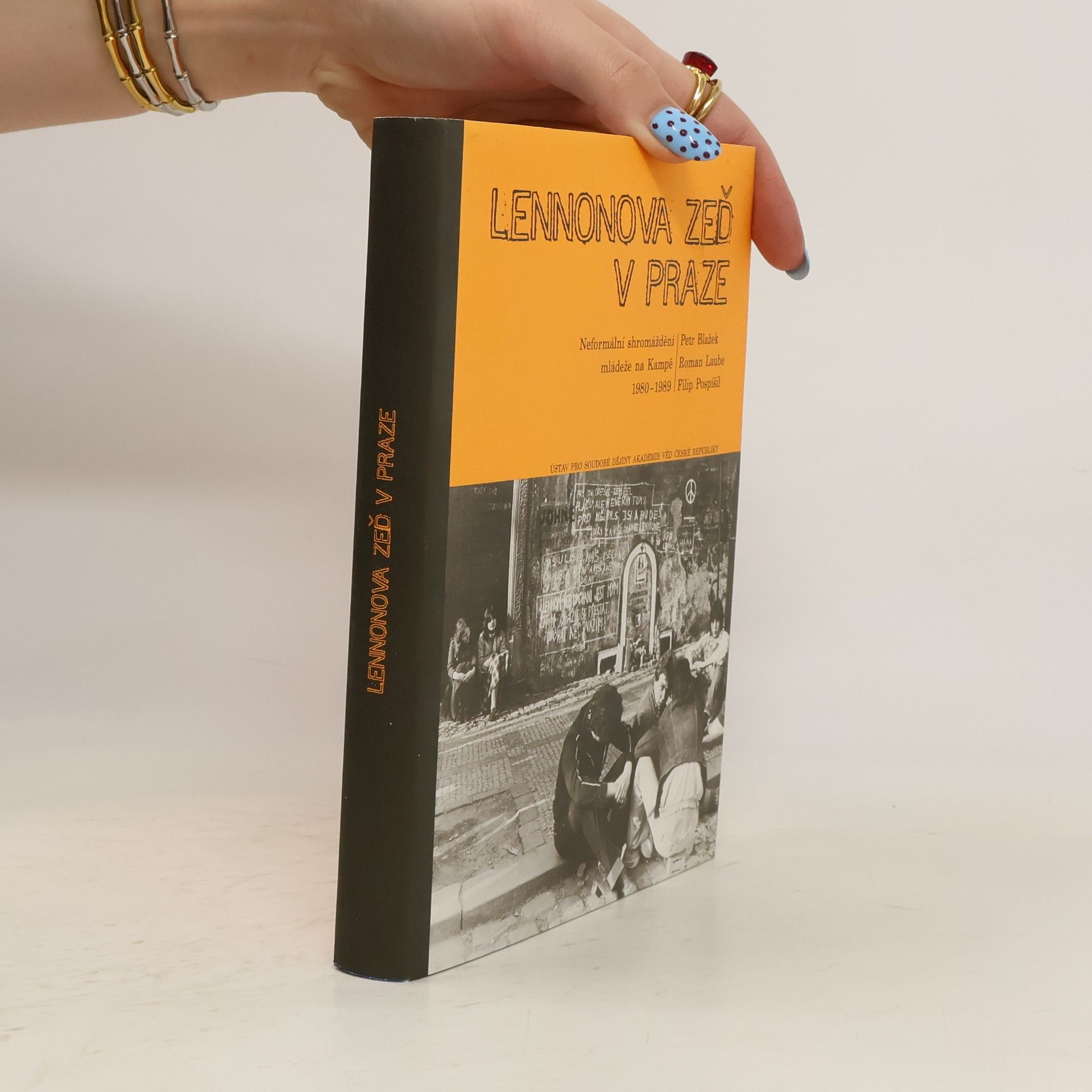 Lennonova zeď v Praze: Neformální shromáždění mládeže na Kampě 1980-1989