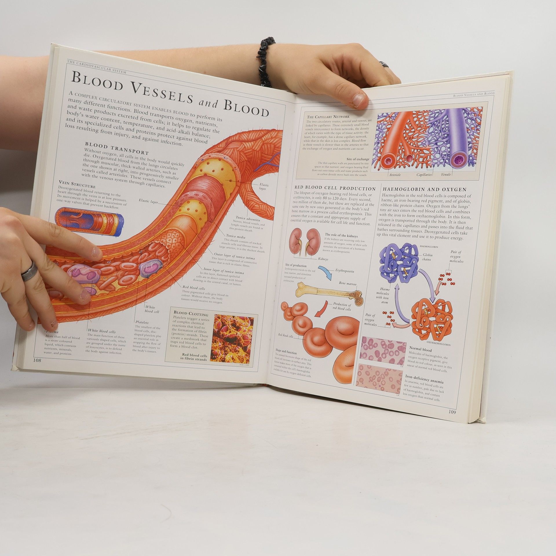 Tony Smith The Human Body
