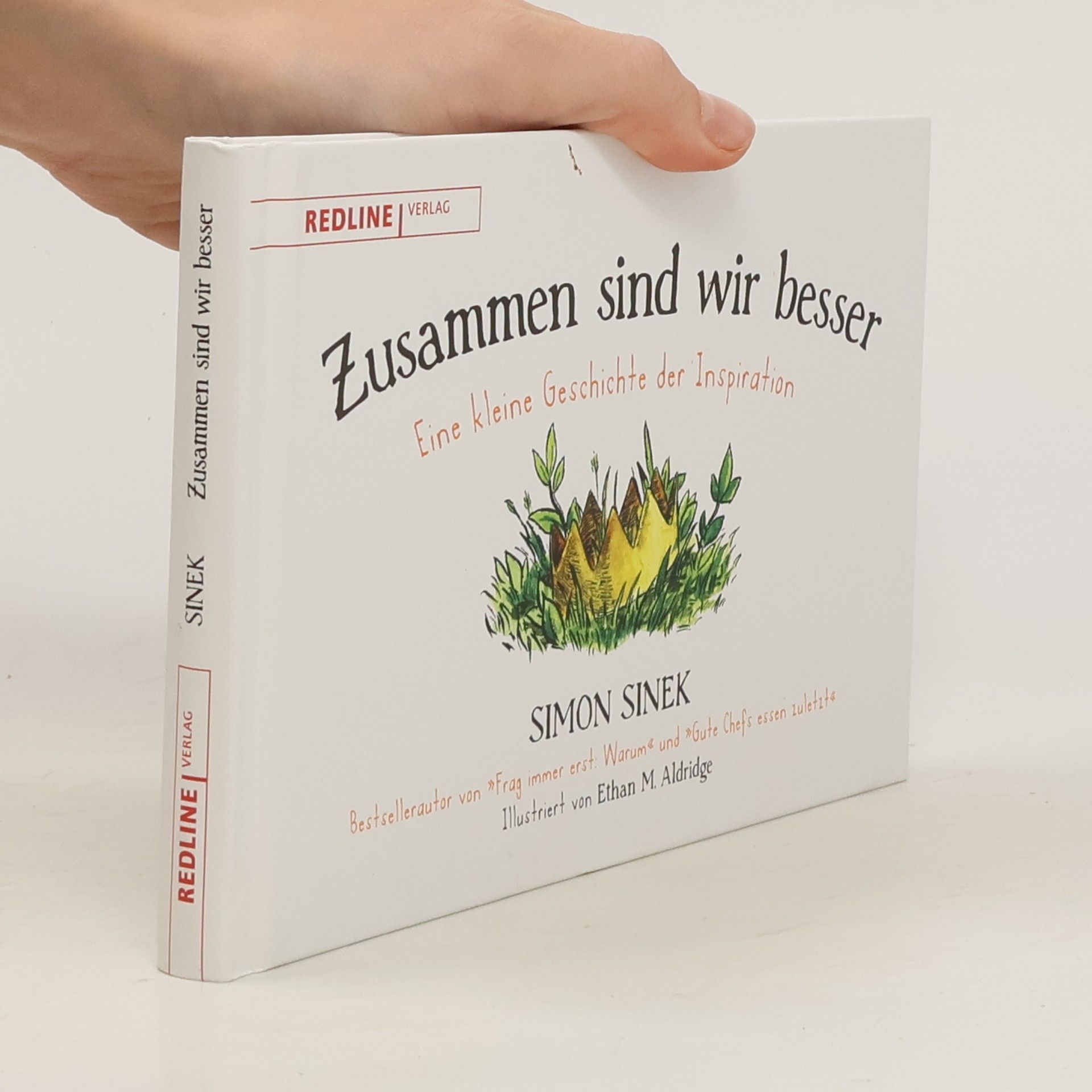 Simon Sinek Zusammen sind wir besser