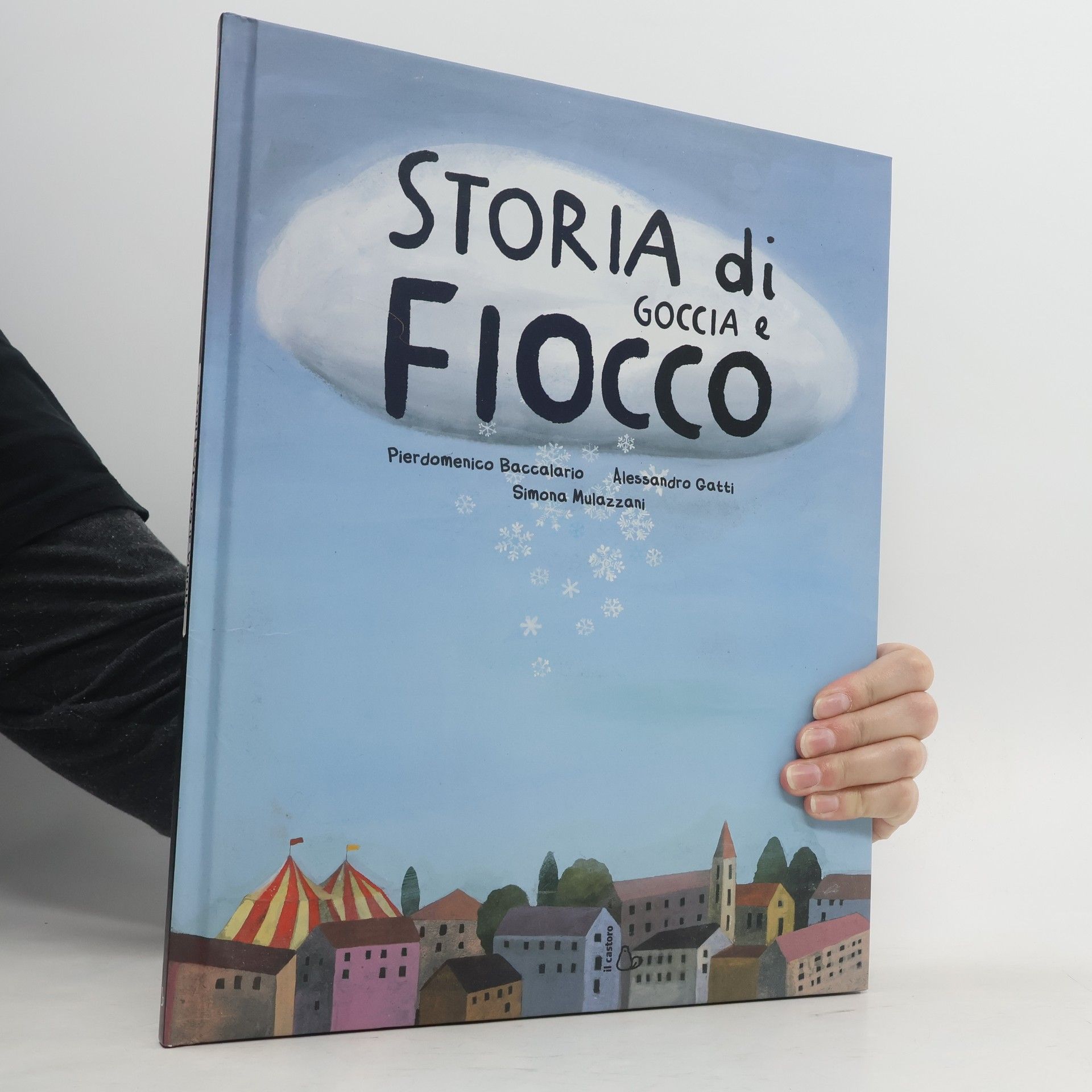 Storia di Goccia e Fiocco