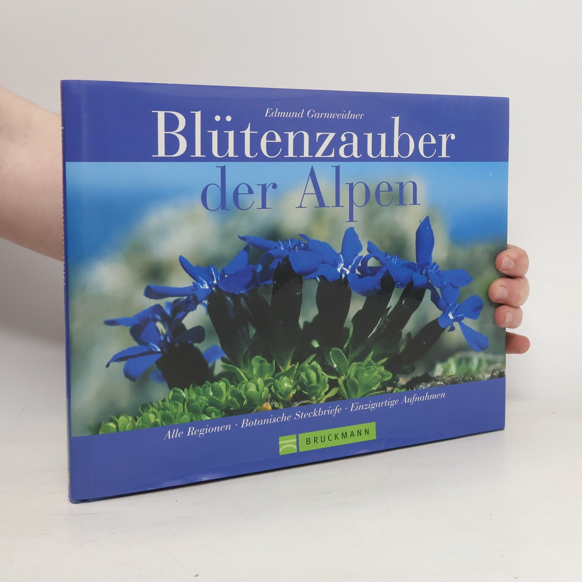 Blütenzauber der Alpen