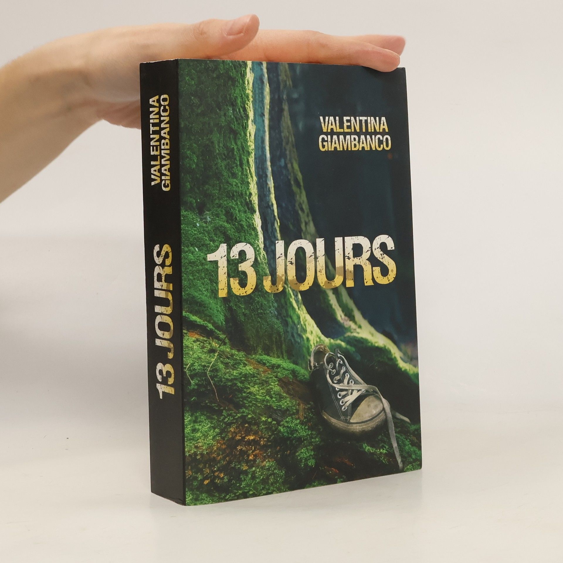 13 Jours