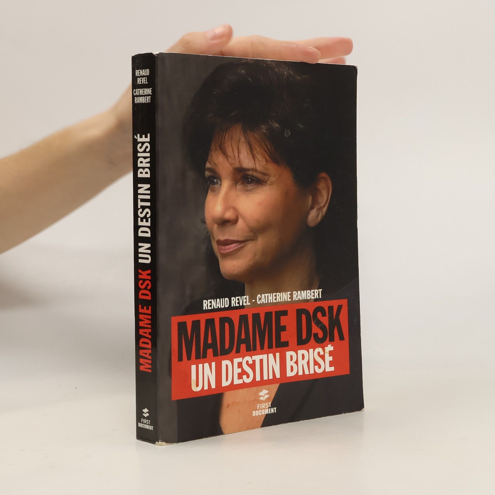 Renaud Revel Madame DSK