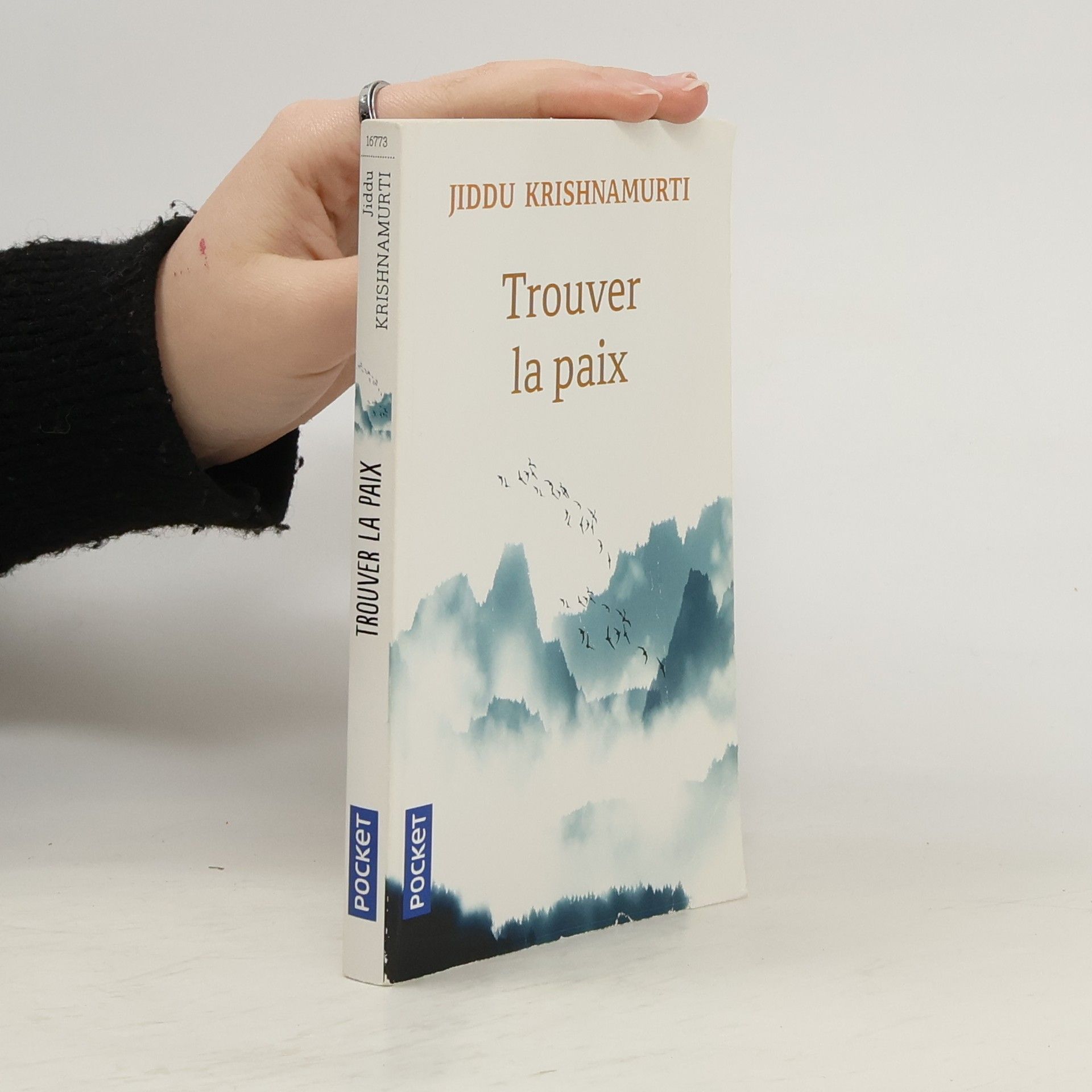 Trouver la paix