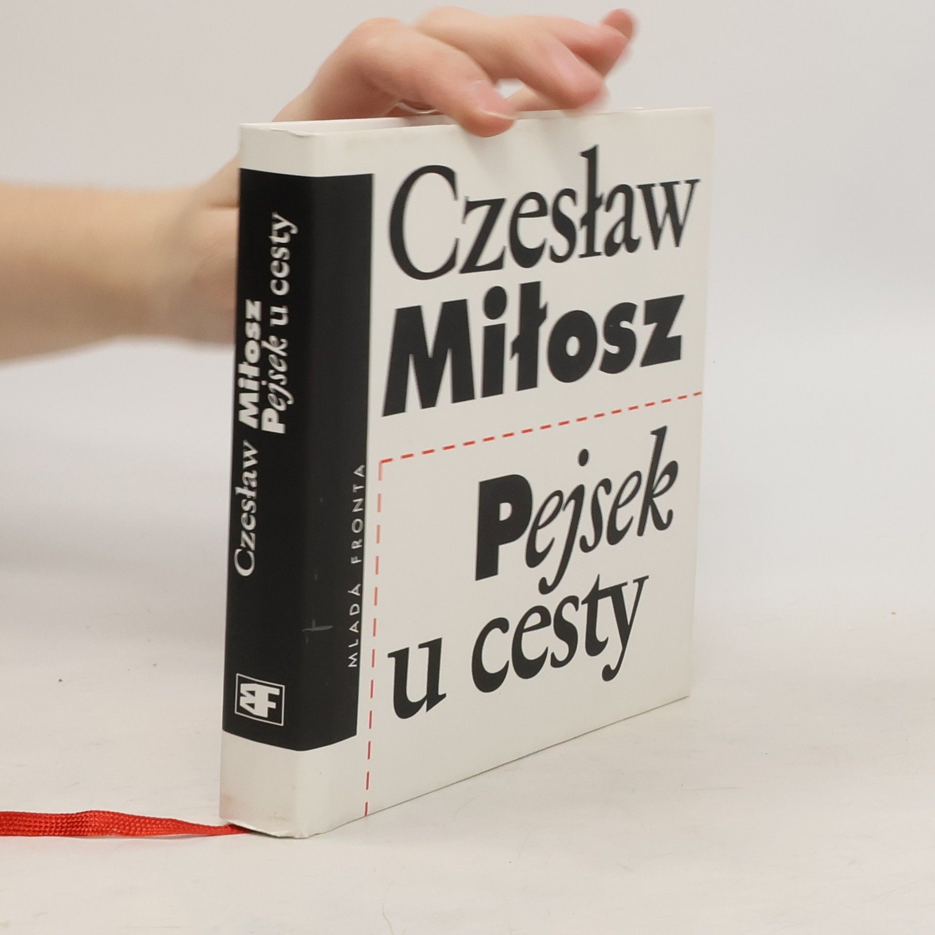 Pejsek u cesty