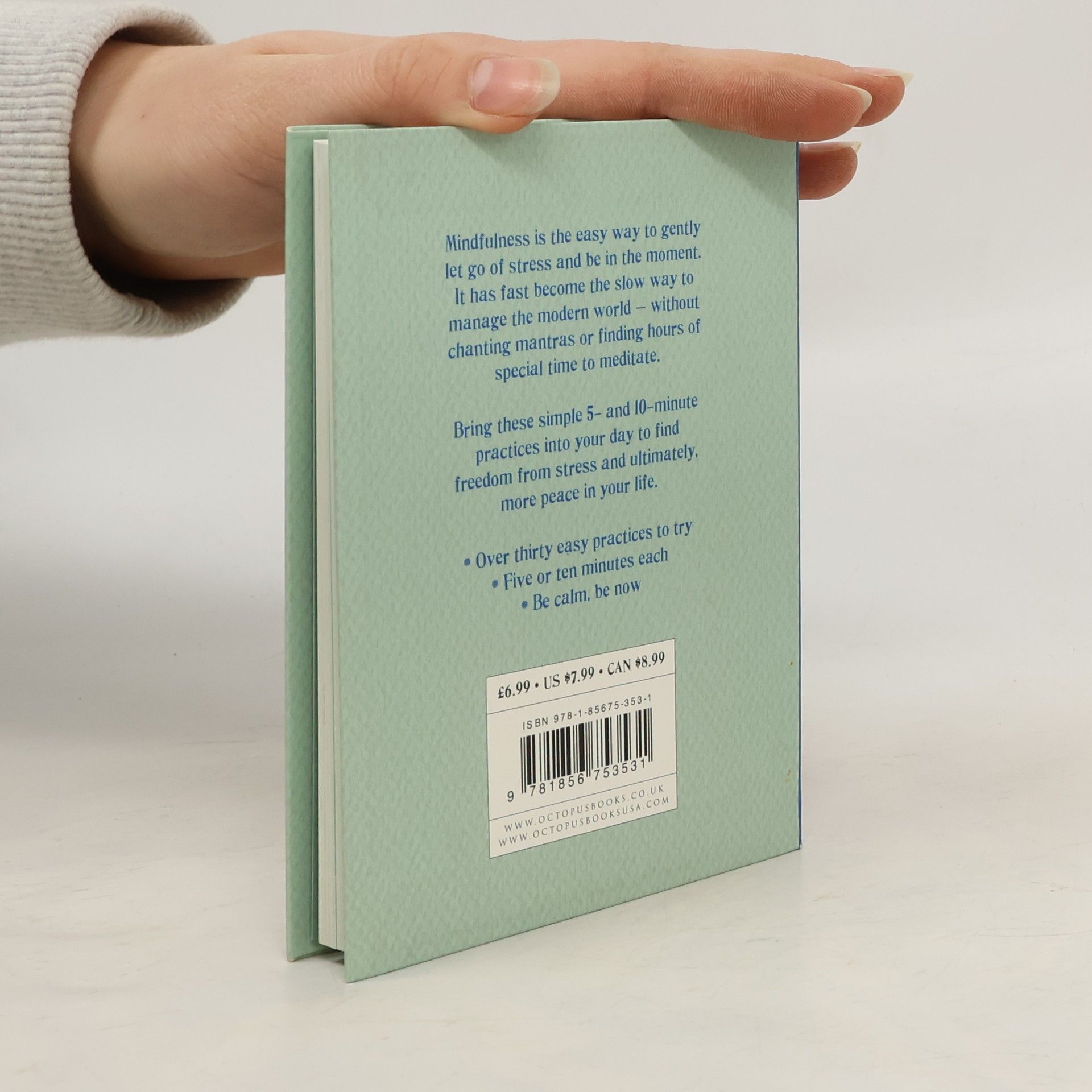Patrizia Collard The little book of mindfulness