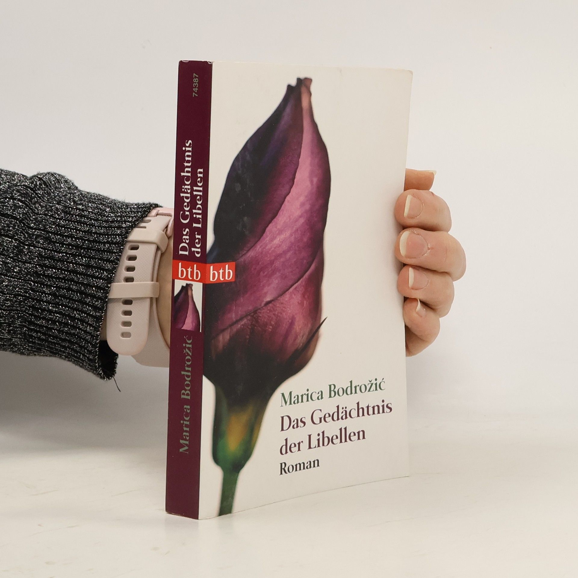 Marica Bodrožić Das Gedächtnis der Libellen
