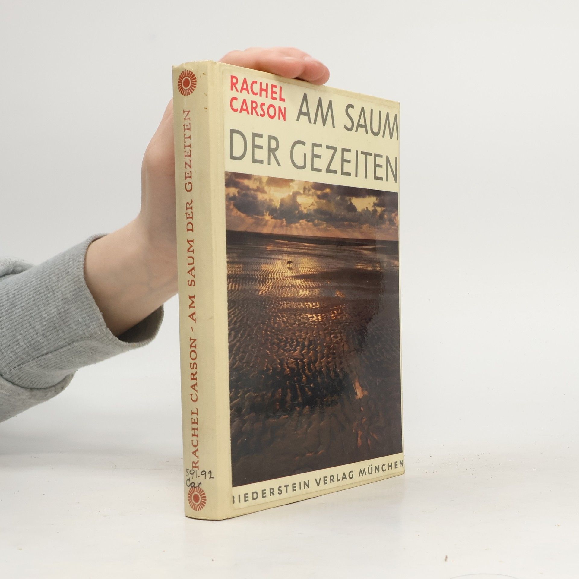 Am saum der gezeiten