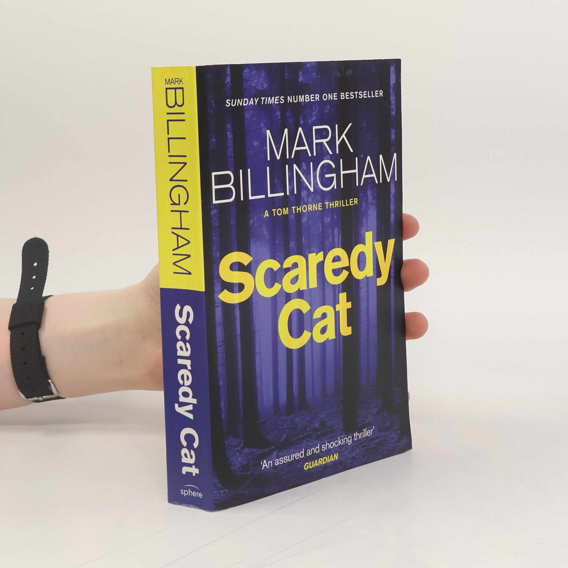 Scaredy Cat
