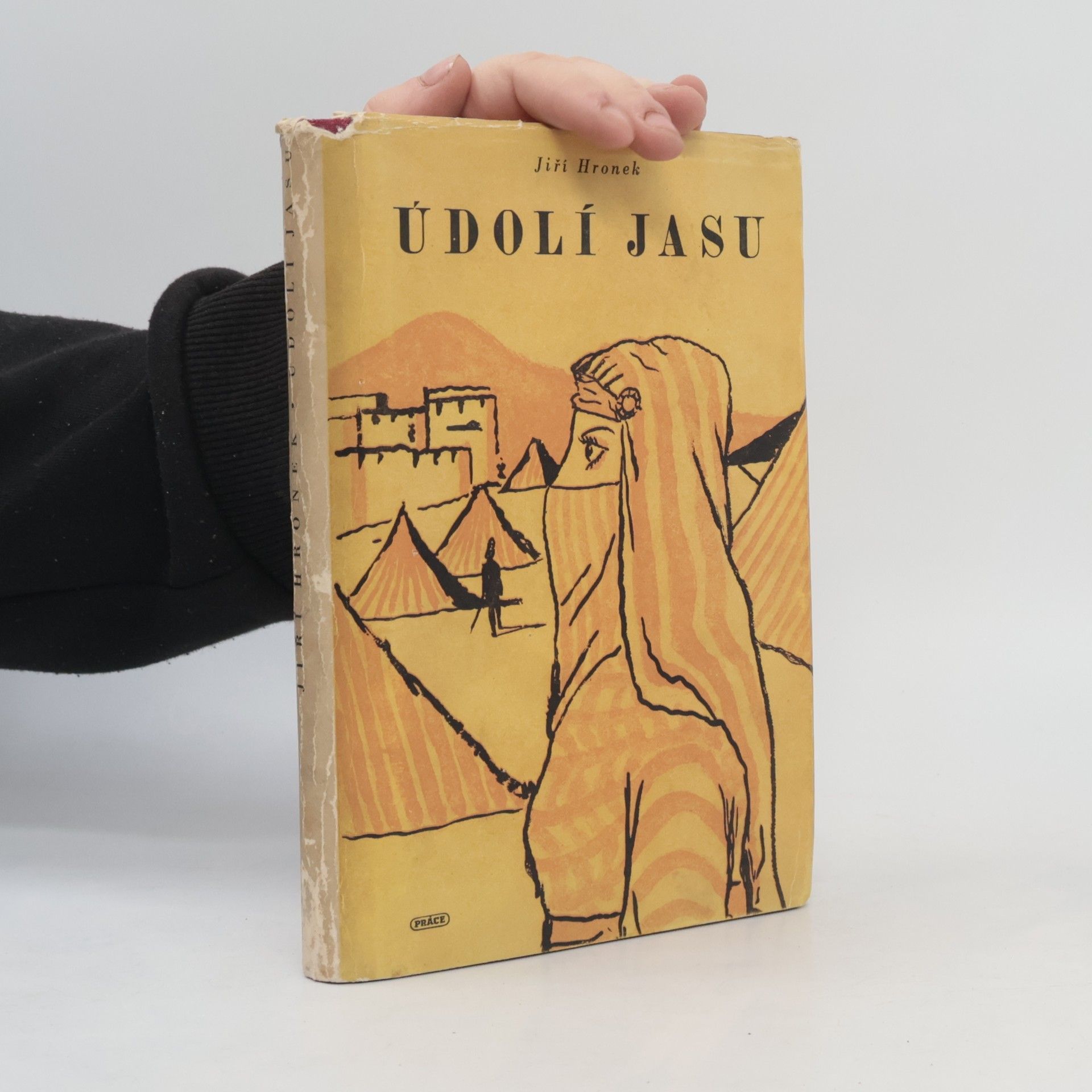 Údolí jasu